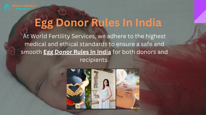egg donor rules in india at world fertility n.w