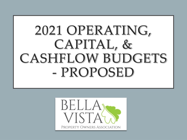 2021 operating capital cashflow budgets proposed n.w