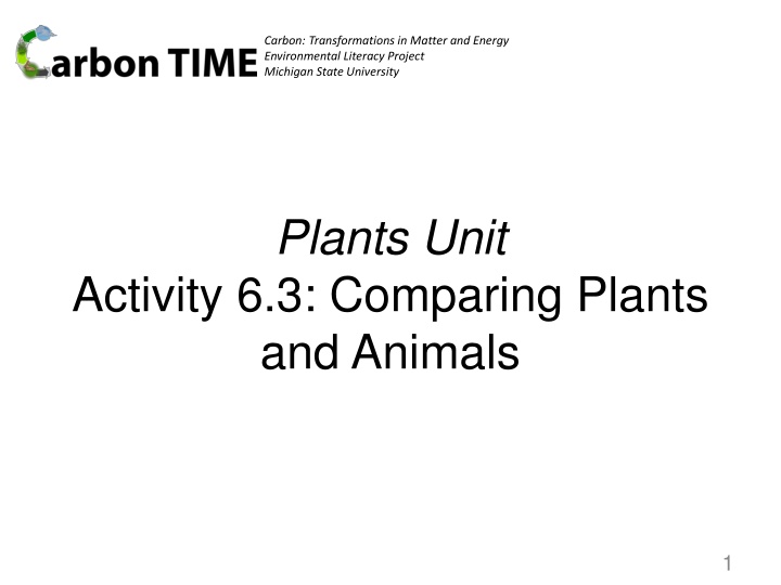 carbon transformations in matter and energy n.w