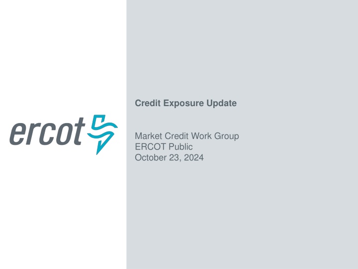 credit exposure update n.w