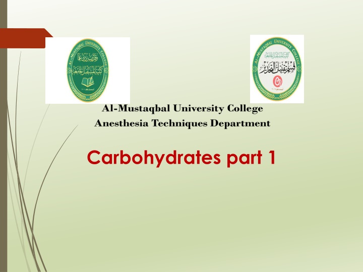 carbohydrates part 1 n.w