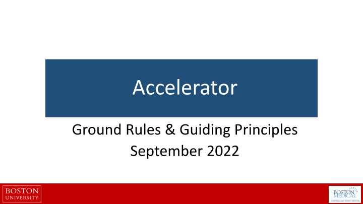 accelerator n.w
