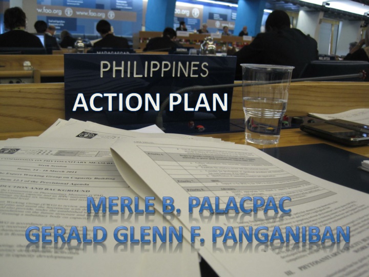 action plan n.w