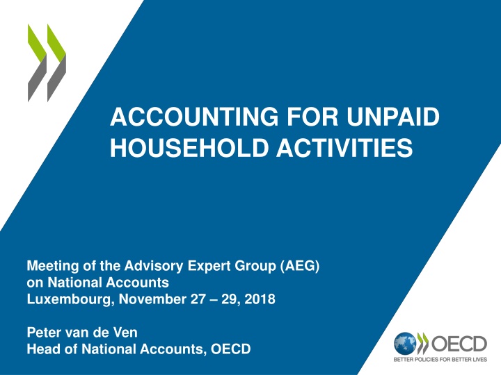 accounting for unpaid household activities n.w