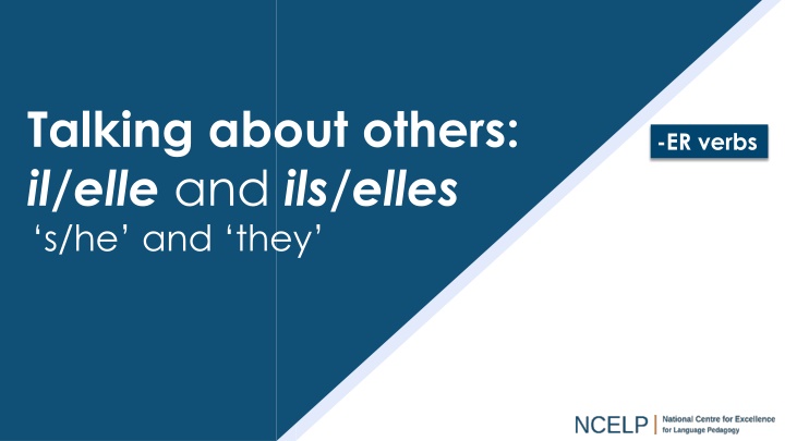 talking about others il elle and ils elles n.w