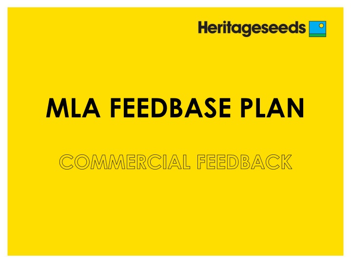 mla feedbase plan n.w