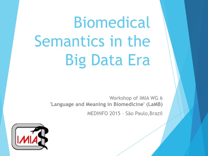 biomedical semantics in the big data era n.w