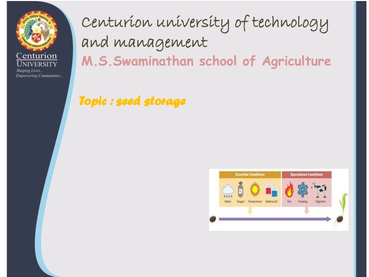 centurion university of technology centurion n.w