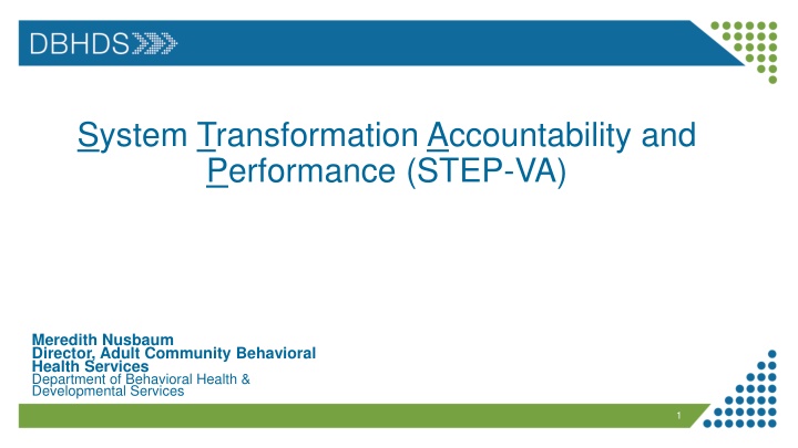 system transformation accountability n.w