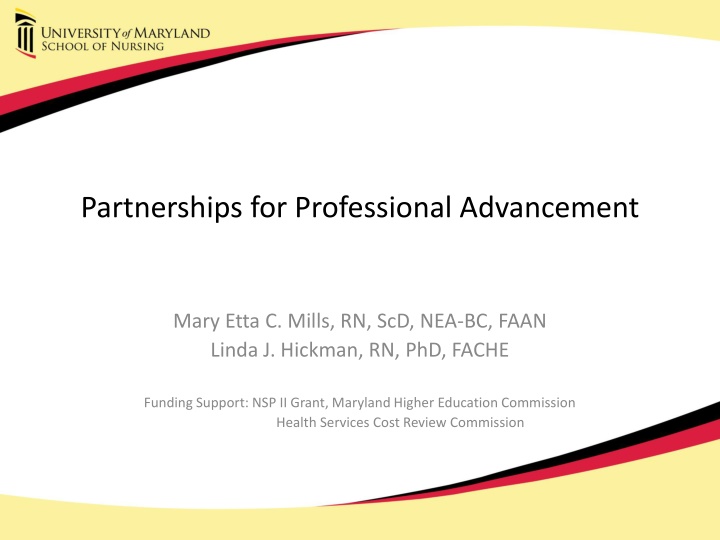 partnerships for professional advancement n.w