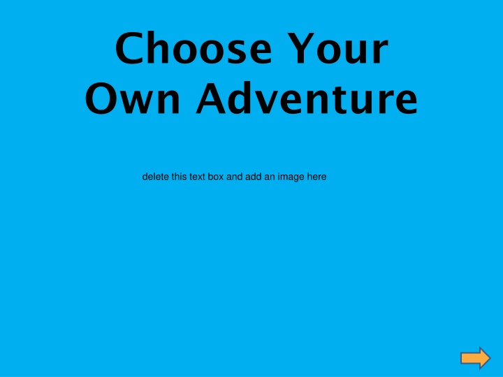 choose your own adventure n.w