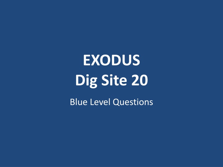 exodus dig site 20 n.w