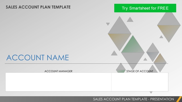 sales account plan template n.w