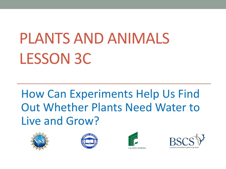 plants and animals lesson 3c n.w