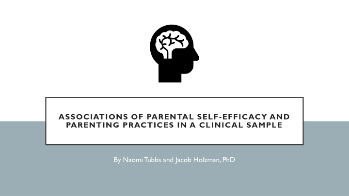 associations of parental self efficacy n.w