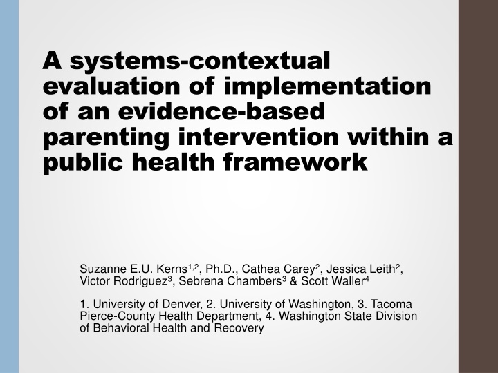 a systems contextual evaluation of implementation n.w