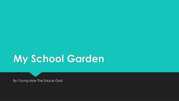 my school garden n.w