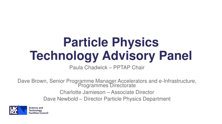 particle physics technology advisory panel paula n.w