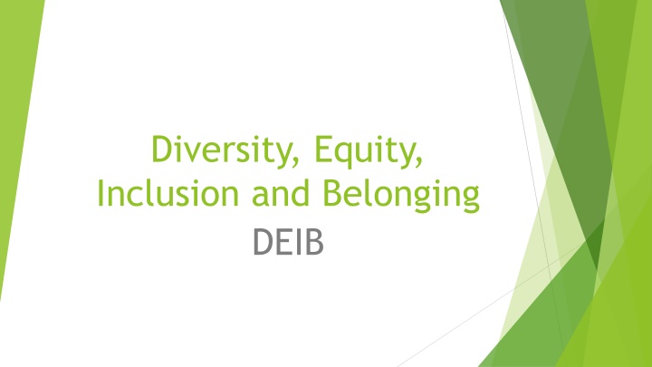 diversity equity inclusion and belonging deib n.w