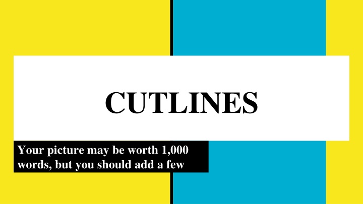 cutlines n.w