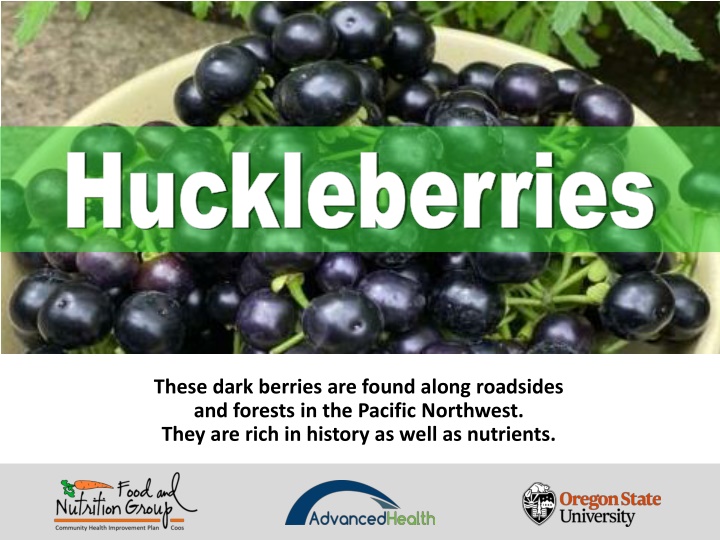 huckleberries huckleberries n.w