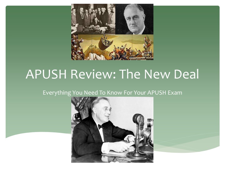 apush review the new deal n.w