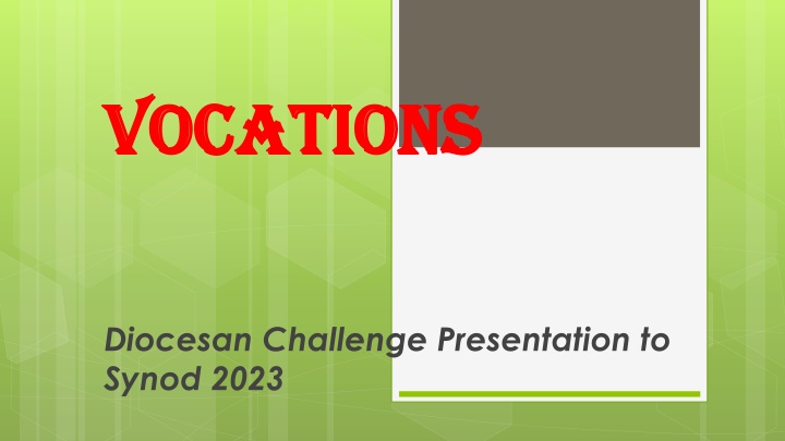 Addressing Challenges in Clergy Formation for Vocations