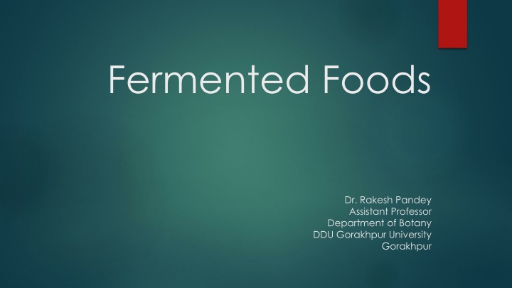 fermented foods n.w