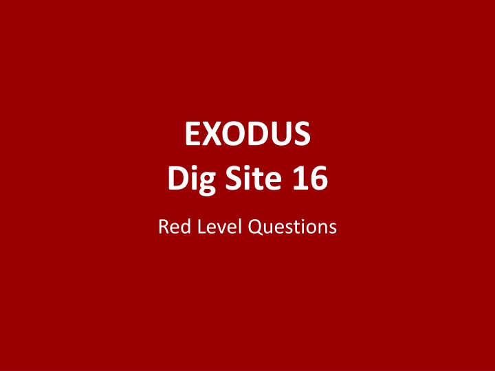 exodus dig site 16 n.w