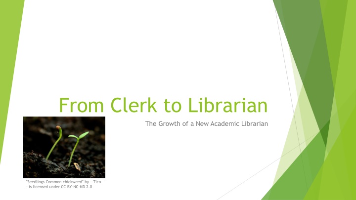from clerk to librarian the growth n.w