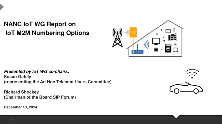 nanc iot wg report on iot m2m numbering options n.w