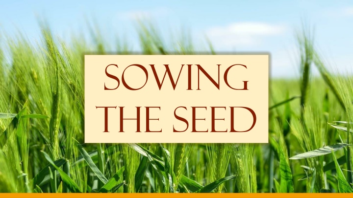 sowing the seed n.w