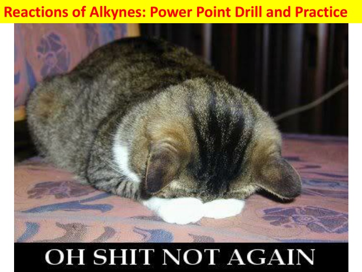 reactions of alkynes power point drill n.w