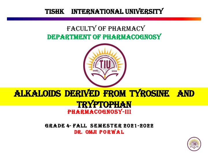 tishk tishk international university n.w