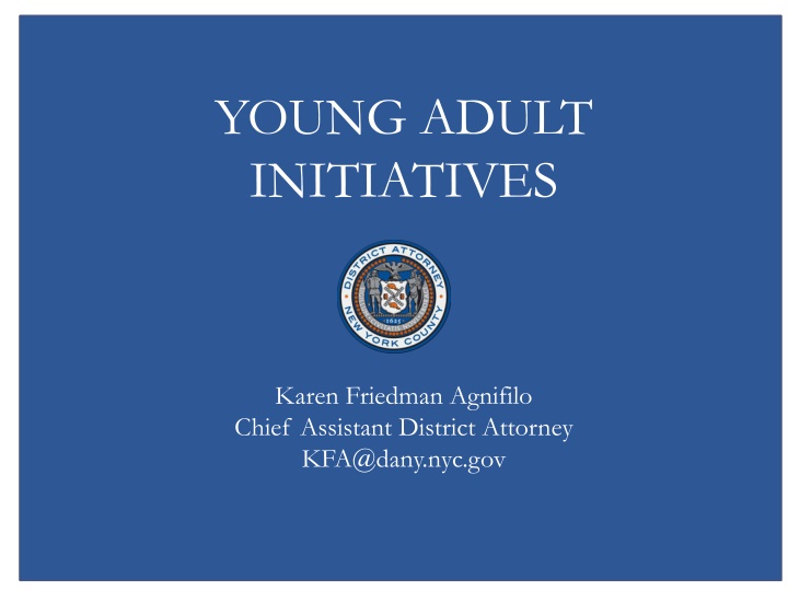 young adult initiatives n.w