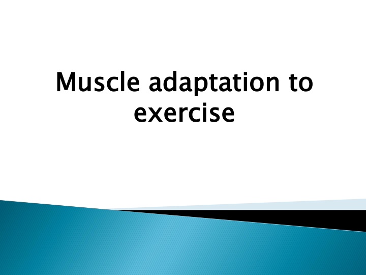 muscle adaptation to exercise n.w