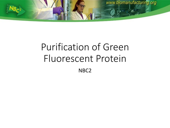 purification of green fluorescent protein n.w