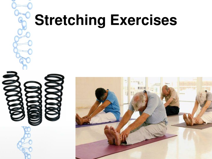 stretching exercises n.w