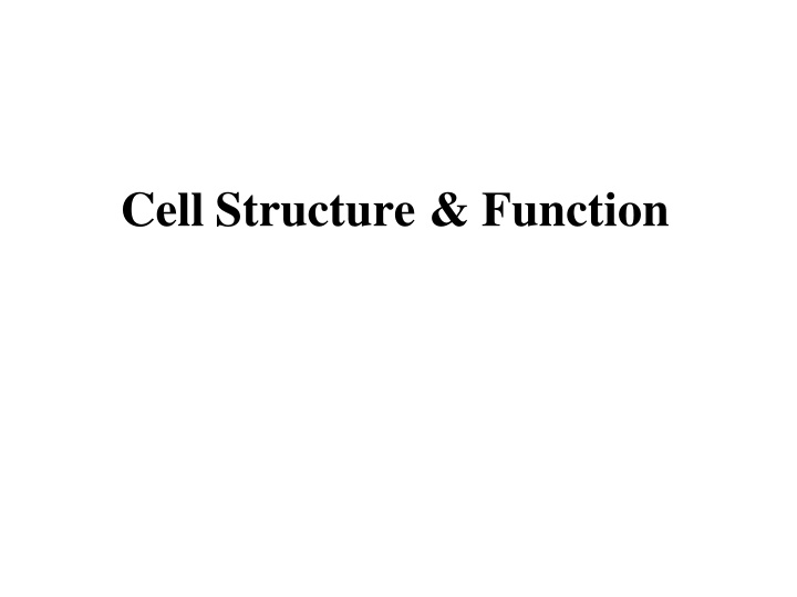 cell structure function n.w