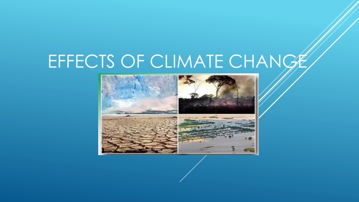 effects of climate change n.w