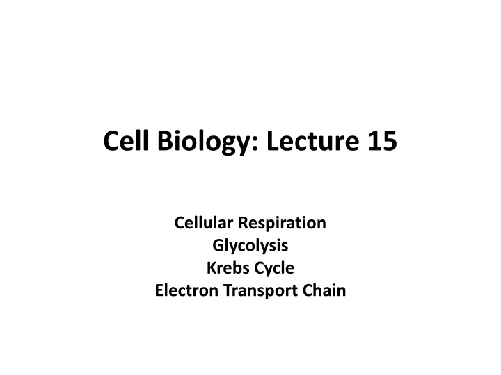 cell biology lecture 15 n.w