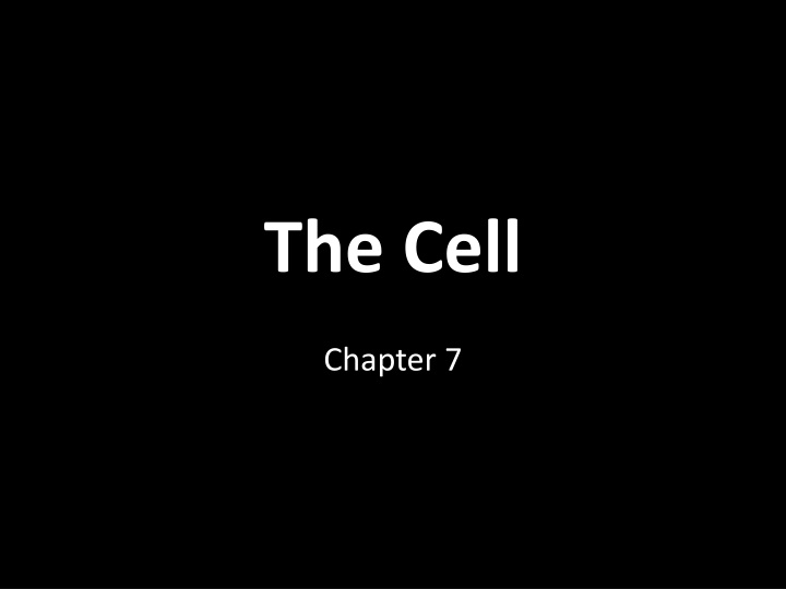 the cell n.w