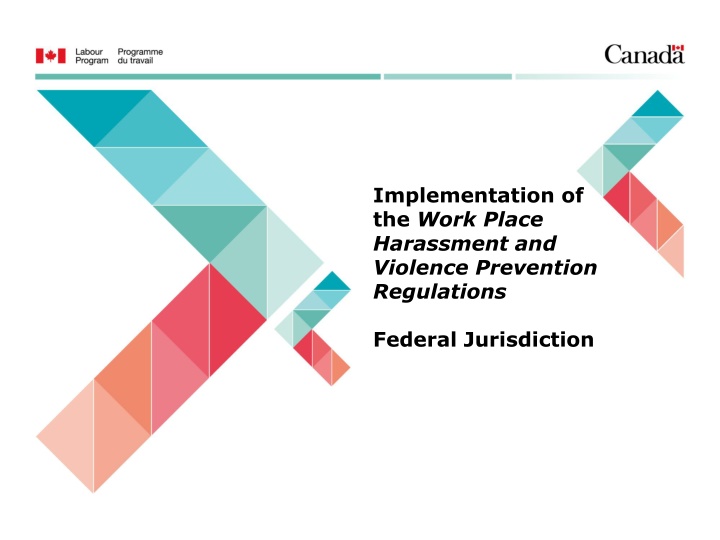 implementation of the work place harassment n.w