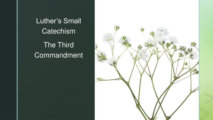 luther s small catechism n.w