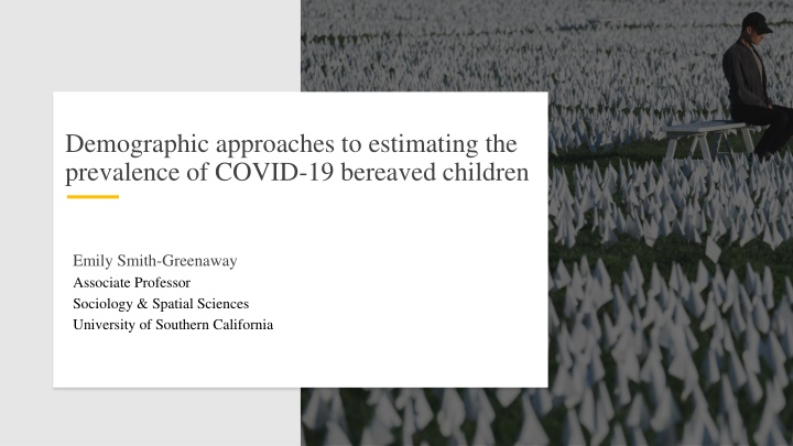demographic approaches to estimating n.w