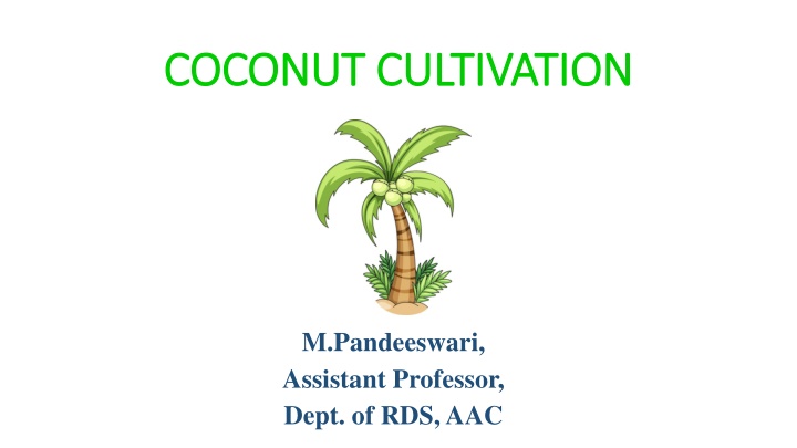 coconut cultivation coconut cultivation n.w