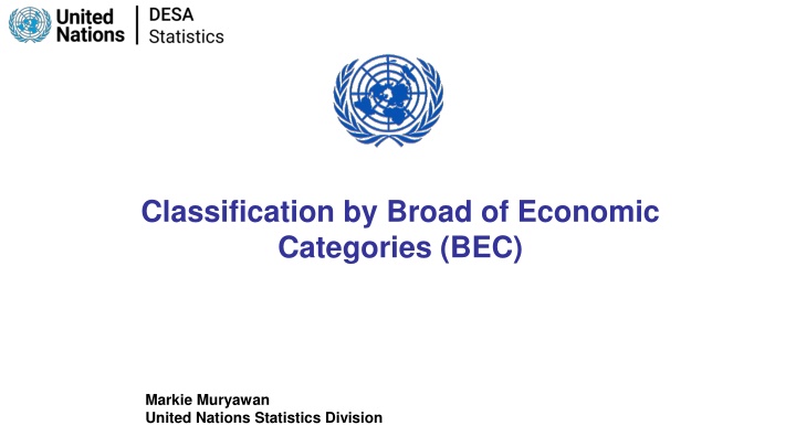 classification by broad of economic categories bec n.w