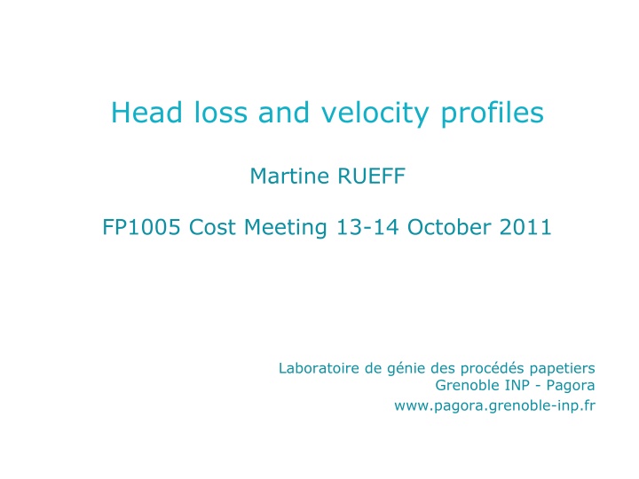 head loss and velocity profiles n.w