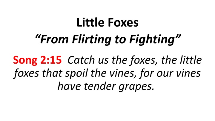 little foxes n.w