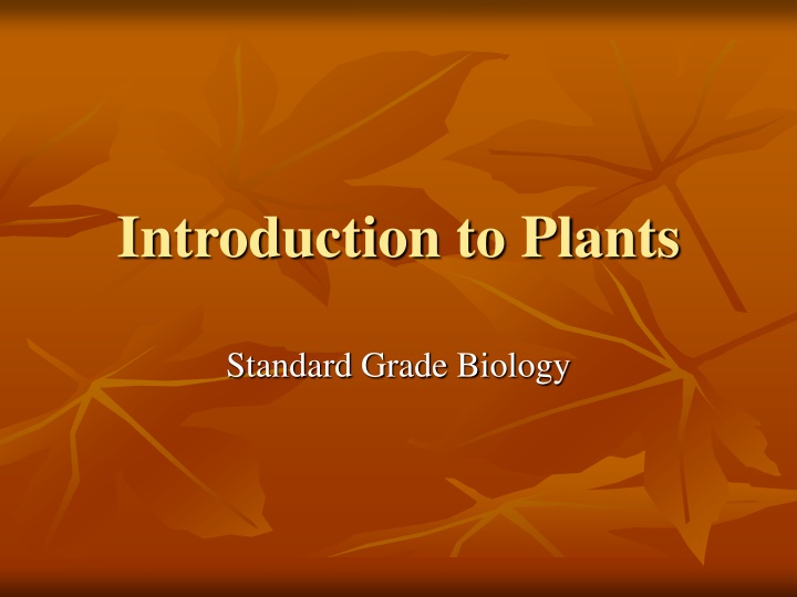 introduction to plants n.w
